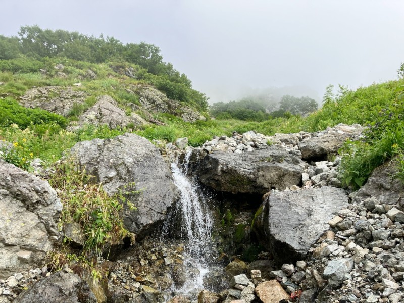 山の恵