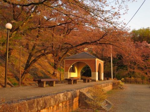 【山梨】果物の名前が入っている駅！さらに昔使っていたホームがある駅「勝沼ぶどう郷駅」