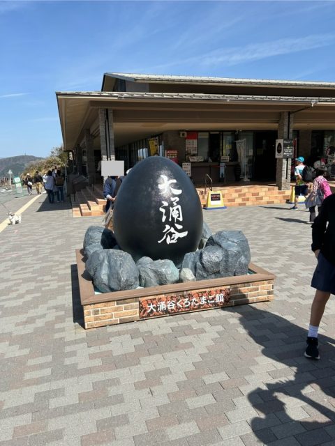 【箱根】かつて地獄谷と呼ばれていた！活火山で温泉が湧き出ている「大涌谷」