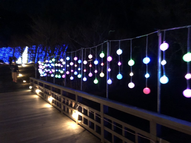 イルミネーション