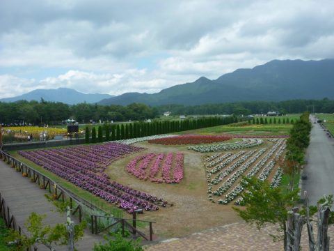 【山梨・山中湖】四季折々の花がきれい!冬はイルミネーションも!「花の都公園」
