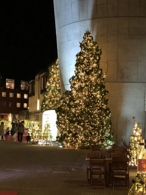 【山梨・八ヶ岳】ワインと自然に囲まれた滞在型リゾート!「星野リゾート リゾナーレ八ヶ岳」