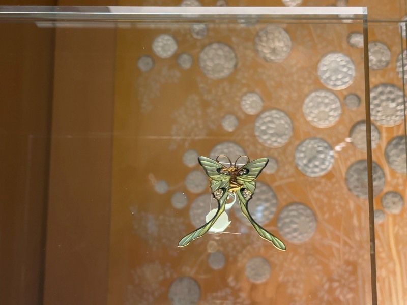 繊細でち密なデザイン