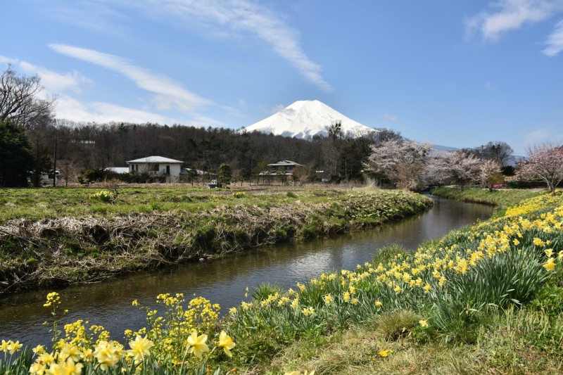 忍野八海 富士山