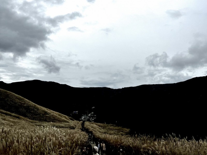 平日がオススメ