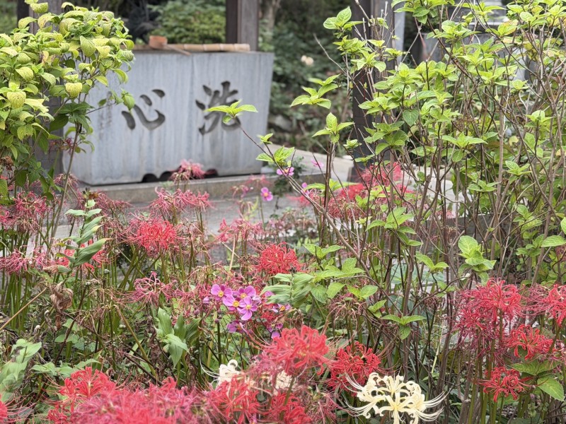 「常楽寺」の手水舎