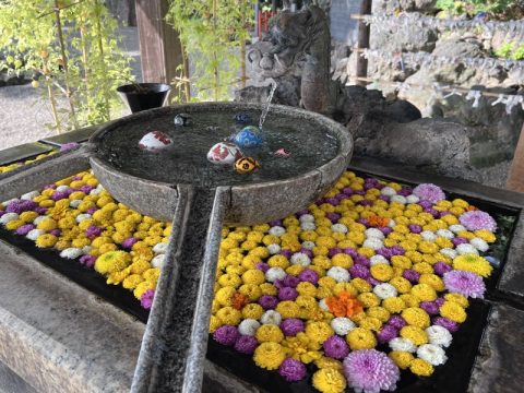 県外からも多数の参拝者が訪れる【群馬県佐波郡】玉村八幡宮で『人形感謝大祭』が斎行されました