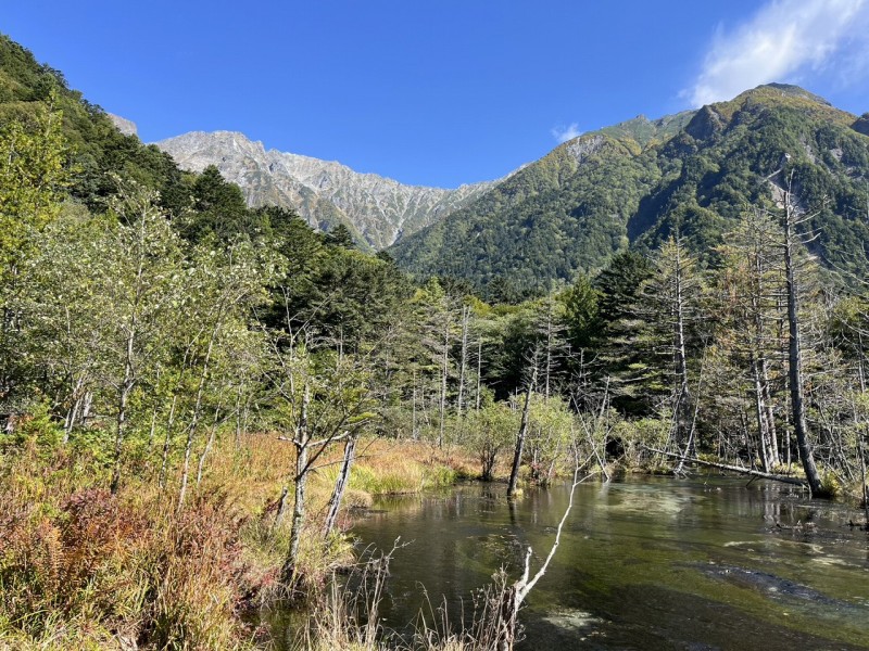 岳沢湿原を通り過ぎ
