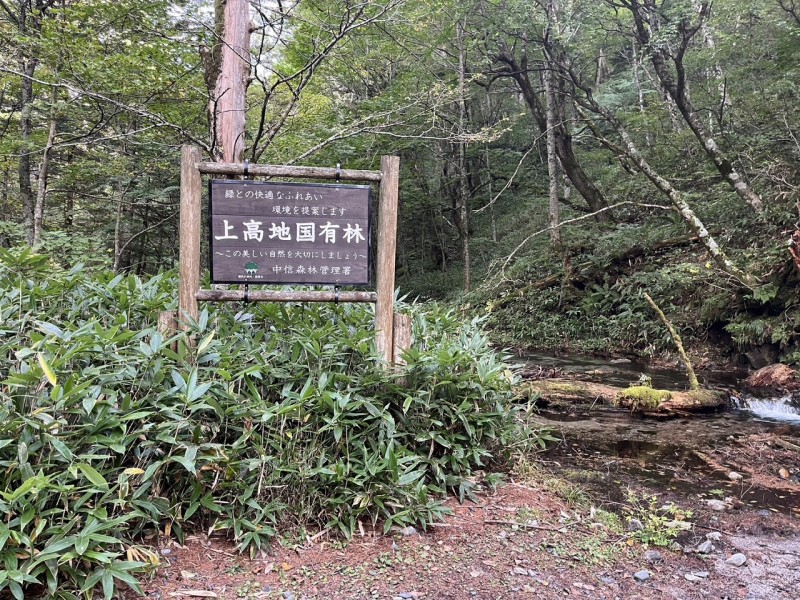 全行程20キロ