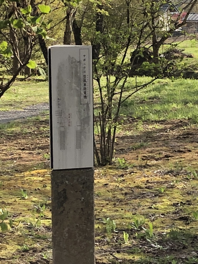 サボニウス型風車発電機