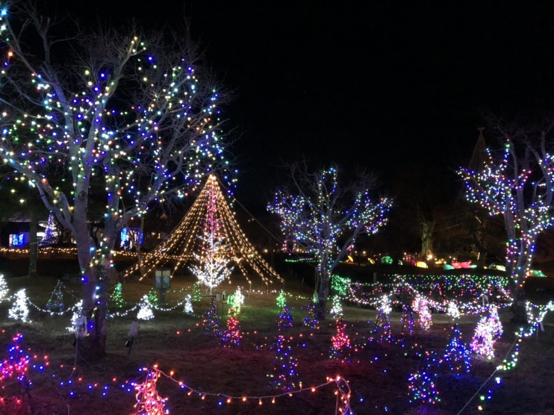 イルミネーション