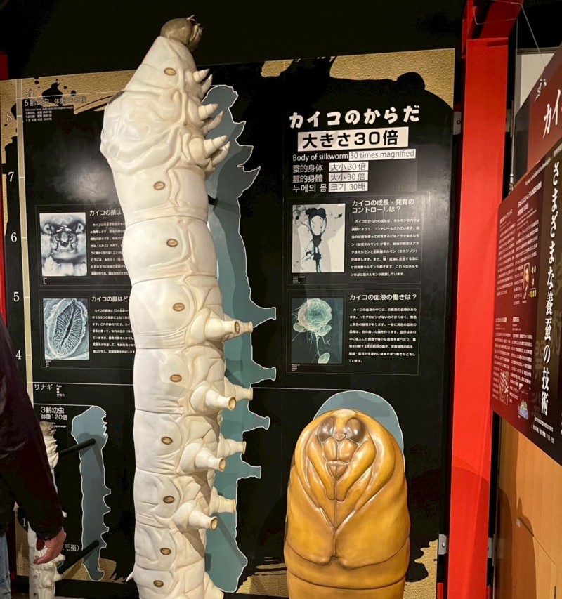 駒ヶ根シルクミュージアム