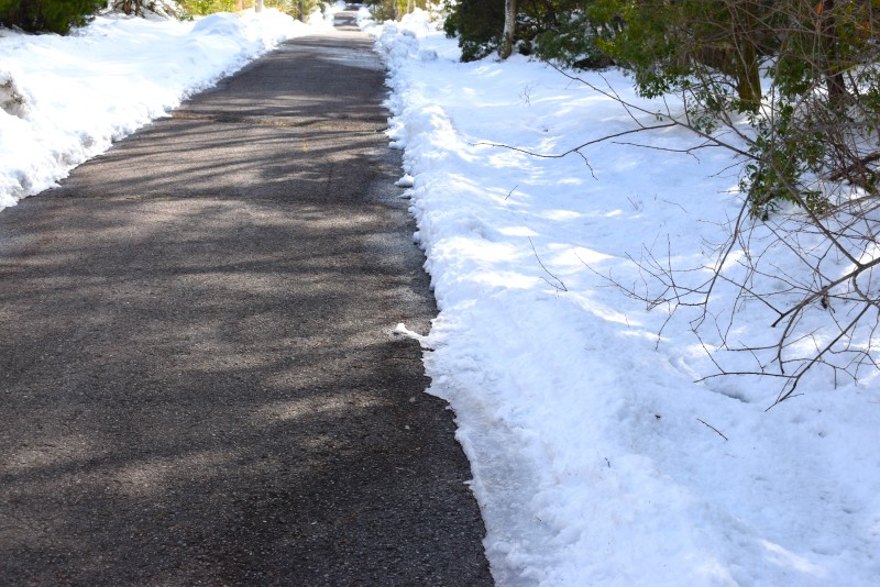 富士山,別荘,冬