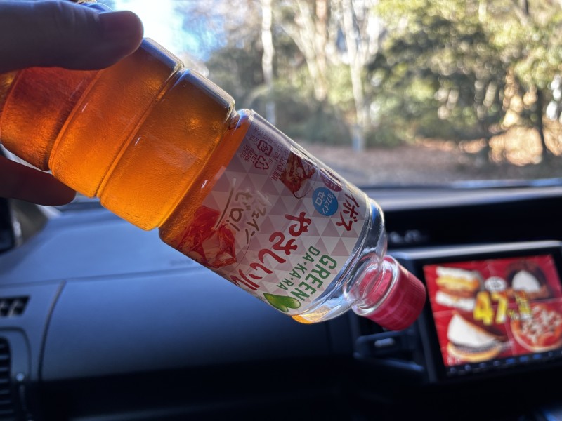 富士山,別荘,冬