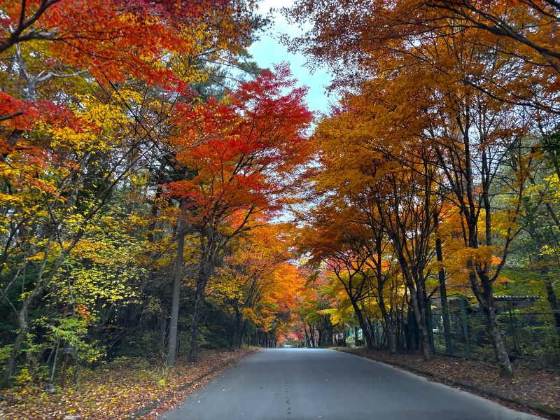 富士山,別荘,冬