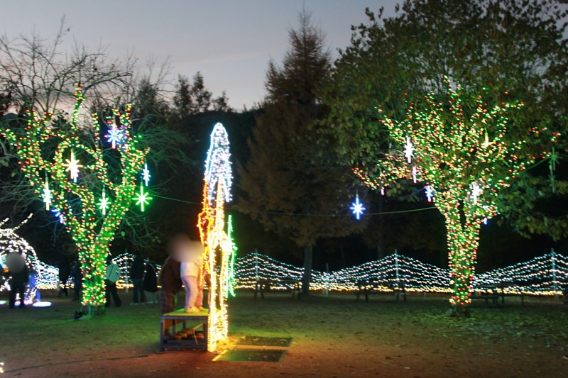 国営アルプスあづみの公園のイルミネーションの撮影スポット