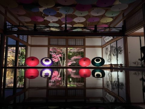 一度は行ってみたい!【群馬県桐生市】を代表する「夜の紅葉を彩るお寺」2つをご紹介! 〜【宝徳寺】編〜