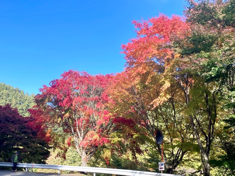 もみじ湖会場まで