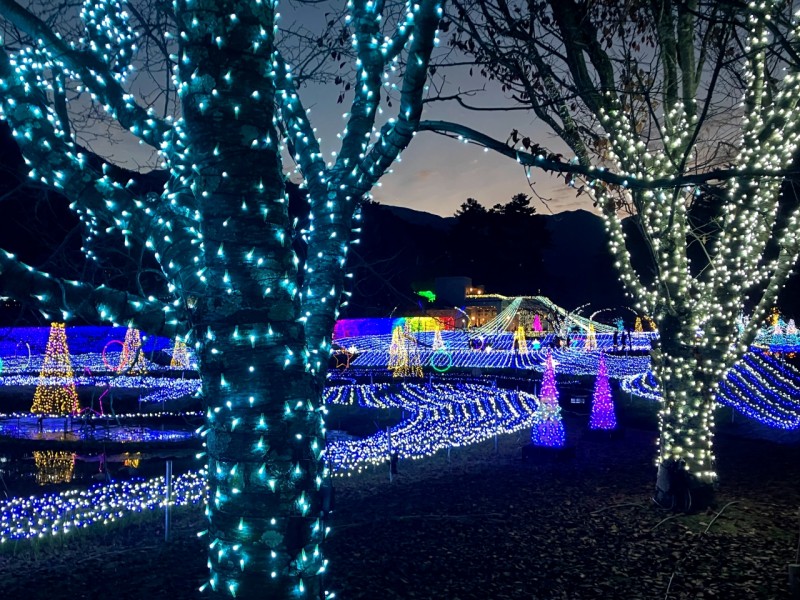 国営アルプスあづみの公園のイルミネーション4