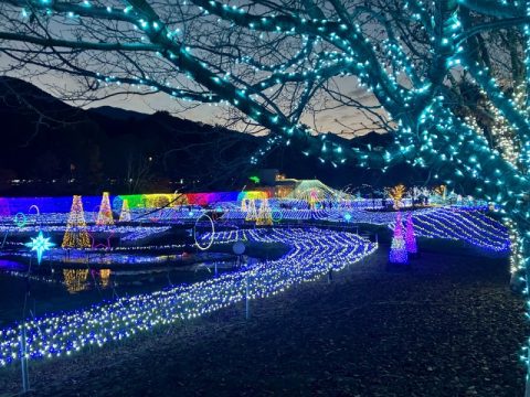 【長野県安曇野市】冬の夜を彩る「Winter Illumination 2025星のすべて〜All of the Stars〜」