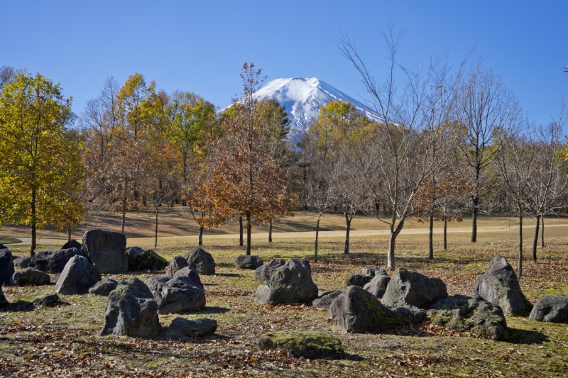 富士散策公園