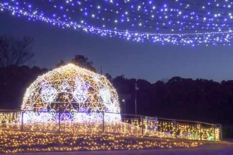 ◆埼玉県本庄市◆冬はイルミネーションが見たくなる！『マリーゴールドの丘公園』でロマンチックな夜を?