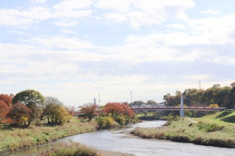 ◆埼玉県朝霞市&志木市◆映画『平場の月』のロケ地を巡ってきました♪