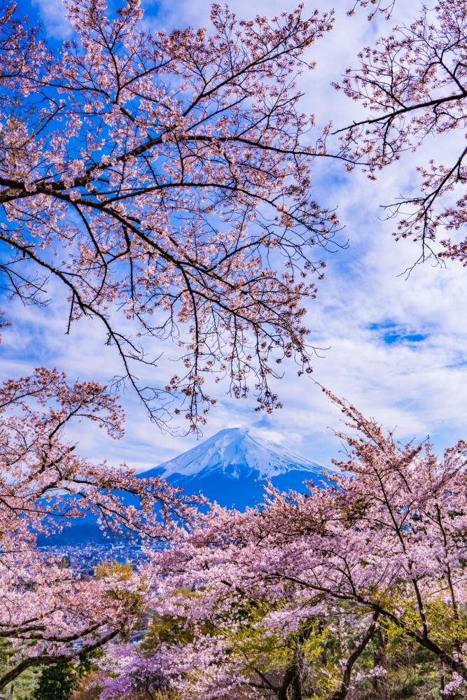 富士見孝徳公園