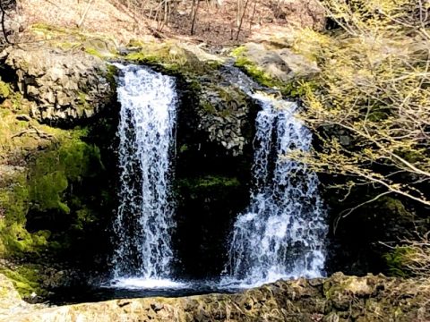 【山梨・忍野村】小さな滝だけど、とてもきれい！マイナスイオンもあり！「鐘山の滝」