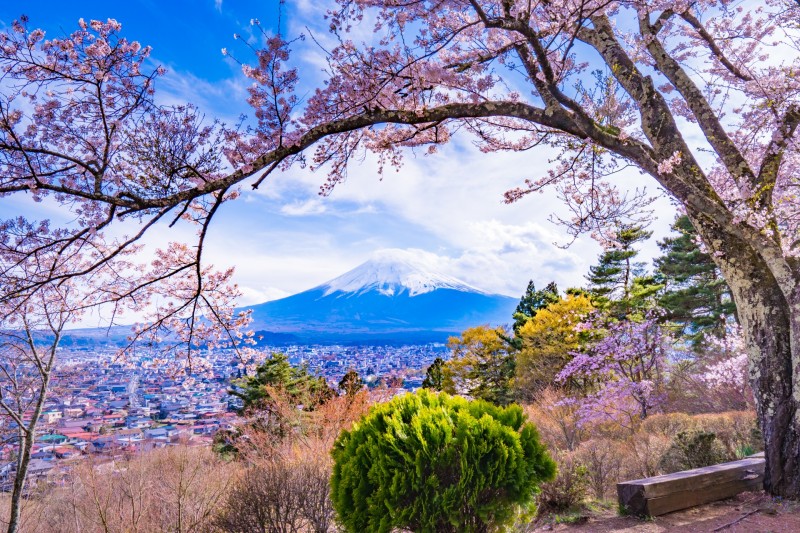 富士見孝徳公園