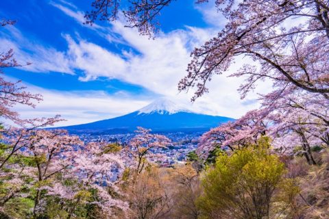 【山梨・富士吉田】関東富士見百景に選ばれた！富士山と四季折々の草木を楽しめる公園「富士見孝徳公園」