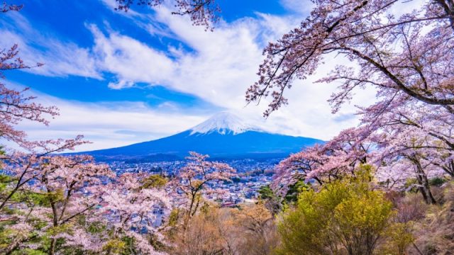 富士見孝徳公園