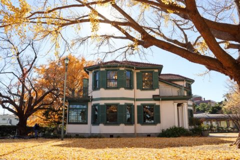 ◆神奈川県横浜市◆横浜の紅葉はとってもフォトジェニック♪『ブラフ18番館〜日本大通り〜三ツ池公園』