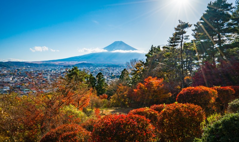 富士見孝徳公園 秋