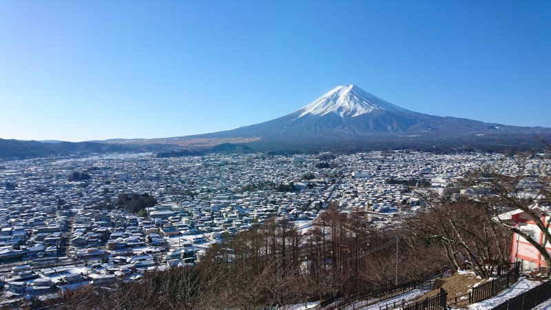 神社からの景色