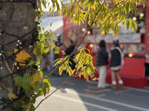 【群馬県】イオンモール太田で開催！ロマンチックなクリスマスマーケット