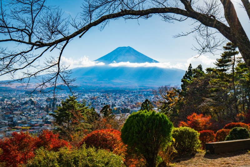 富士見孝徳公園 秋