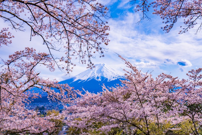 富士見孝徳公園