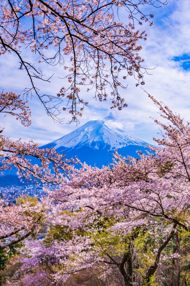 富士見孝徳公園