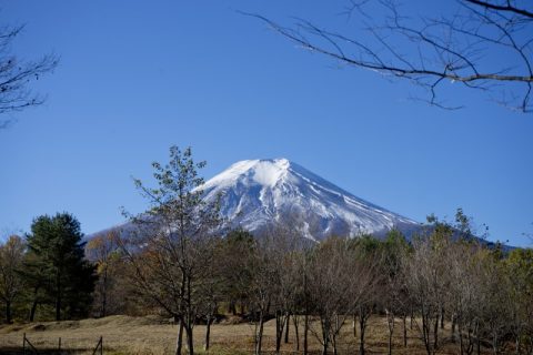 【山梨・富士吉田】富士山を五感で楽しめる！富士吉田の広大な公園「富士散策公園」