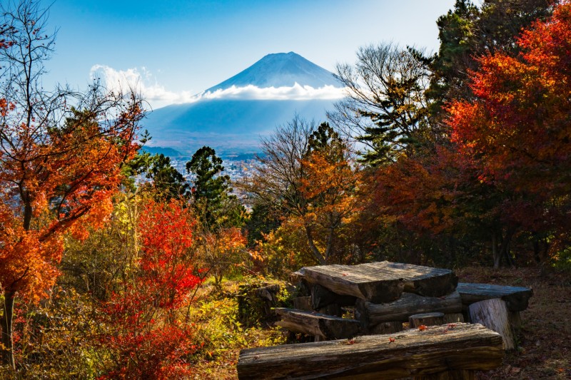 富士見孝徳公園 秋