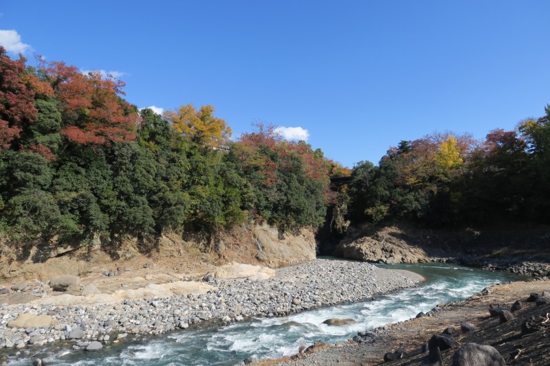 西桂町　秋の桂川