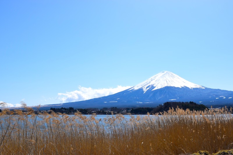 富士山,ほうとう