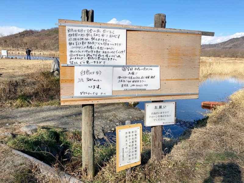 御宝田遊水池の楽しみ方