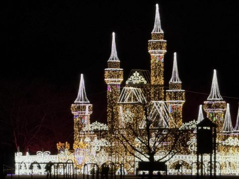 群馬県渋川方面を楽しむ1泊2日！地元で人気のアップルパイや光かがやくお城を満喫