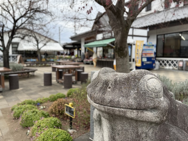 道の駅こもちの休憩スペース