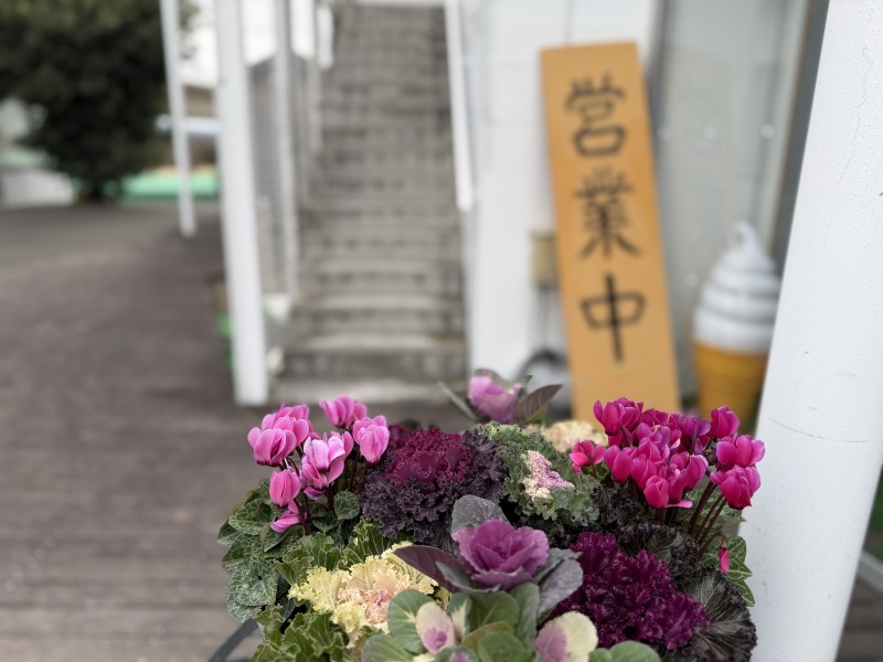 道の駅よしおか 店舗脇の階段