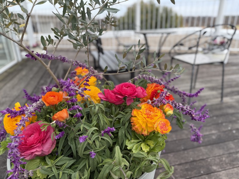 道の駅よしおか温泉 ウッドテラス