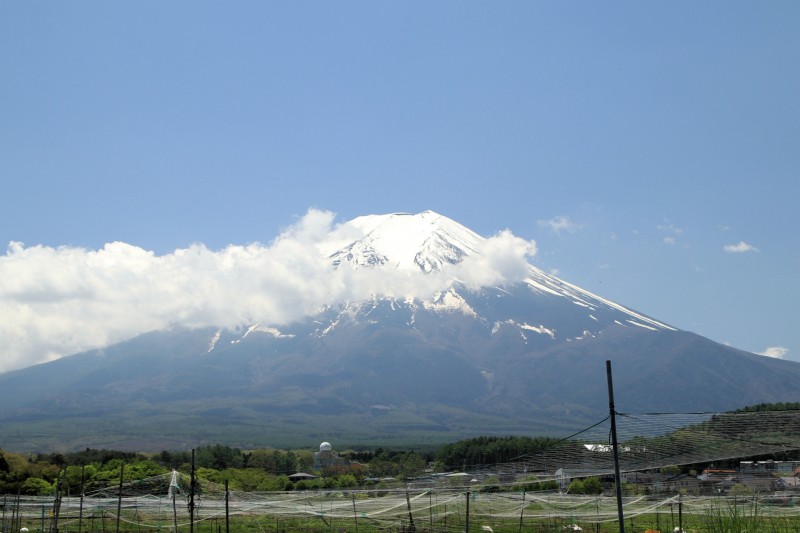 富士山