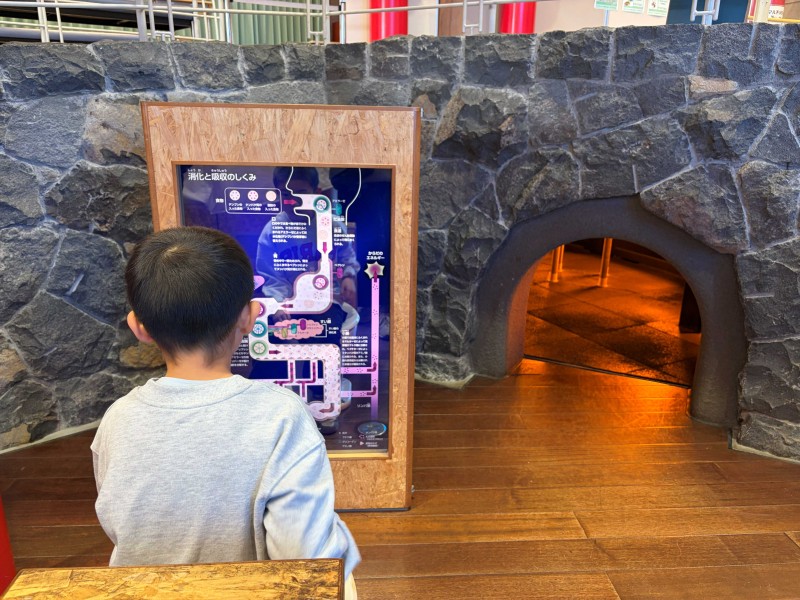 山梨県立科学館　子ども遊び場　こどもの国　山梨　移住